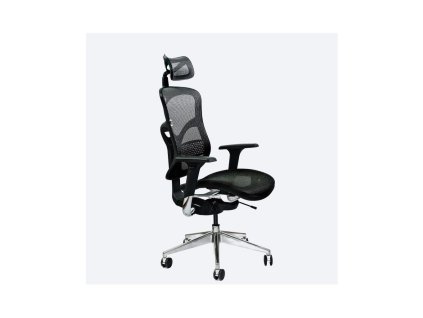 Balančná stolička Spinergo Business, sieťovina, čierna