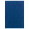 Diár Viva týždenný A5 14,8 x 21 cm modrý 2027