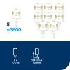 420202_420202-e-com-2-contents-universal