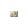 Samolepiace etikety Brother DK22212 62 mm x 15,24 m biela plastová fóliova